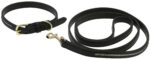EQUITHÈME - Max - Dog collar and leash - Image 3