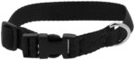 RIDING WORLD - Pat - Dog collar