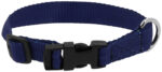RIDING WORLD - Pat - Dog collar - Image 6