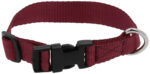 RIDING WORLD - Pat - Dog collar - Image 8