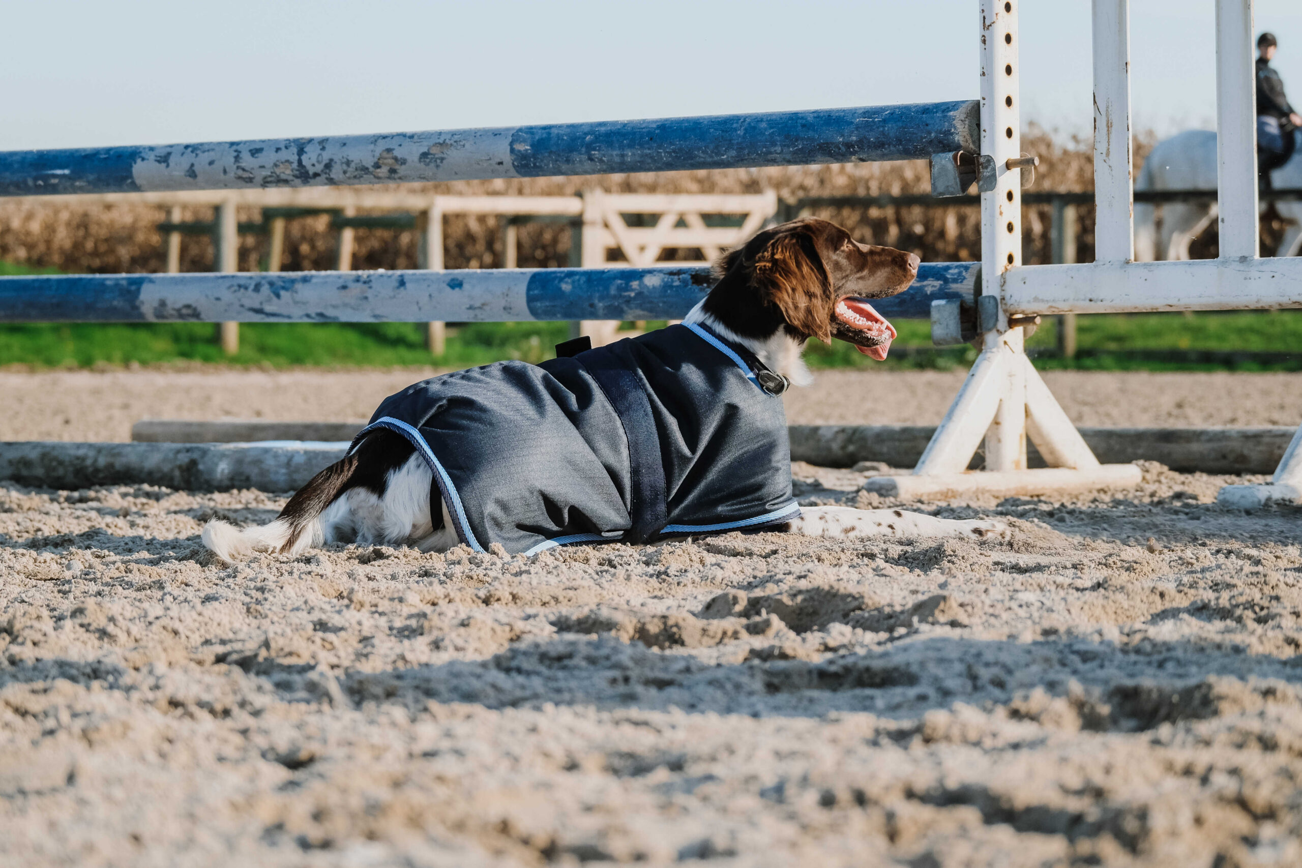 RIDING WORLD - Eco 600D - Hundedecke