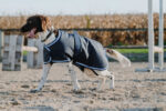 RIDING WORLD - Eco 600D - Hundedecke - Image 2