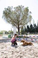 Nylonhalsband DIEGO & LOUNA - Image 4