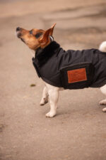 PADDOCK - Diagonal - Dog rug - Image 3