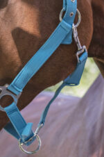 NORTON halter - fluorescent lined - Image 9