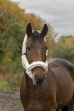 NORTON "Full synthetic sheepskin" halter