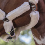 NORTON "Full synthetic sheepskin" halter - Image 7