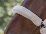 NORTON "Full synthetic sheepskin" halter - Image 8