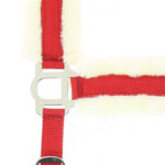 Halfter NORTON - Confort - Image 4