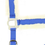 Halfter NORTON - Confort - Image 6