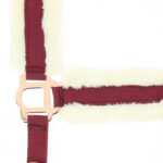 Halfter NORTON - Confort - Image 10