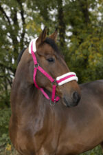 Halfter NORTON - Confort - Image 12