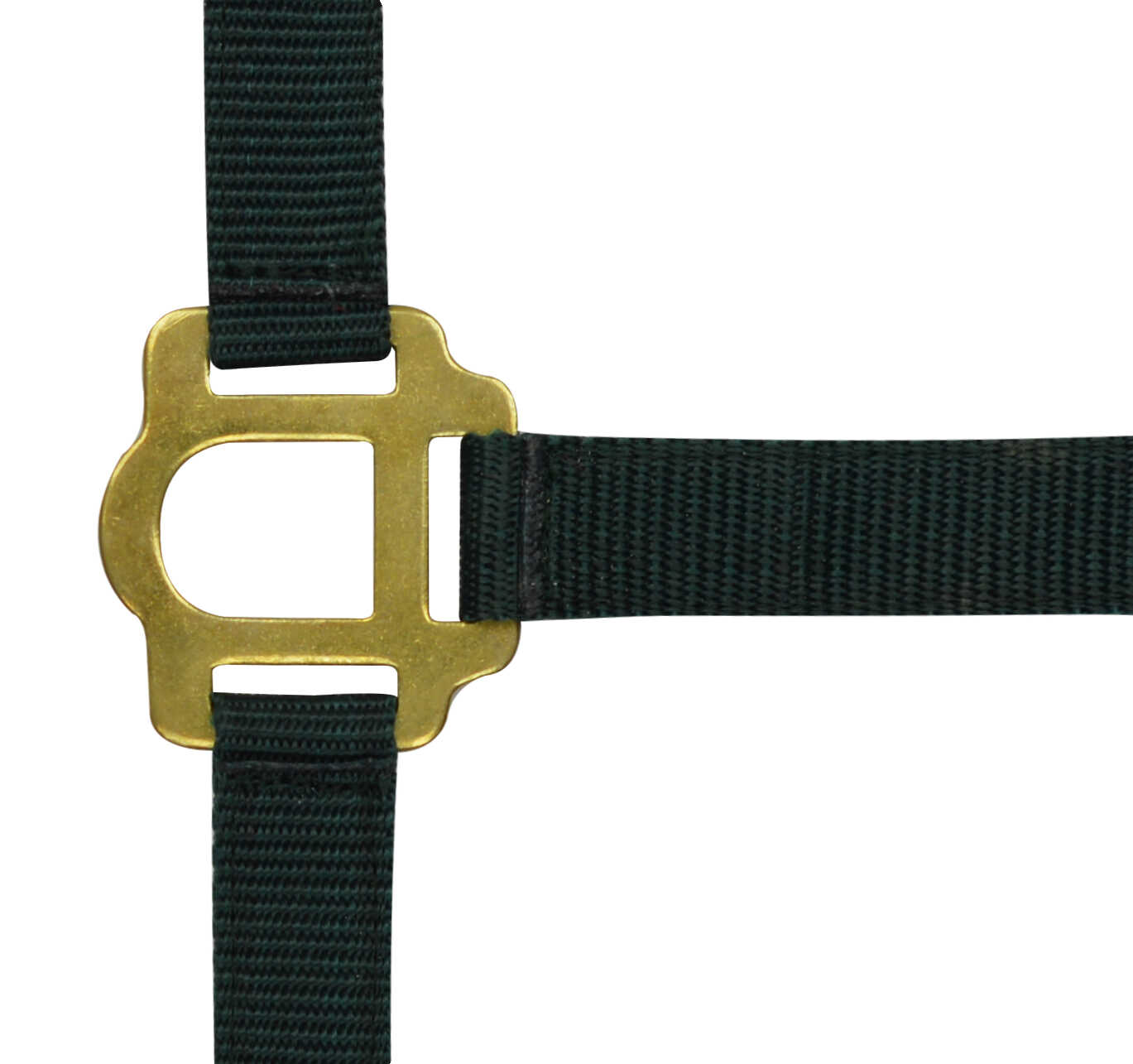 RIDING WORLD Halfter