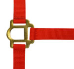 RIDING WORLD Halfter - Image 2