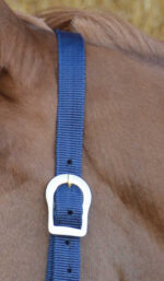 RIDING WORLD Halfter - Image 7