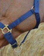 RIDING WORLD Halfter - Image 8