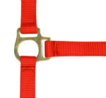 Foal halter + rope NORTON - Image 5