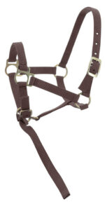 Foal halter + rope NORTON - Image 6