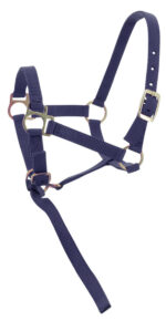 Foal halter + rope NORTON - Image 10