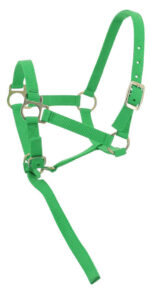 Foal halter + rope NORTON - Image 12