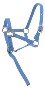 Foal halter + rope NORTON - Image 16