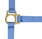 Foal halter + rope NORTON - Image 17