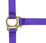 Foal halter + rope NORTON - Image 20