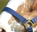 Nylon halter NORTON - Double strength - Image 10