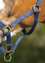 Nylon halter NORTON - Double strength - Image 12