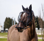 EQUITHÈME halter + anti-fly mask protection against UV rays