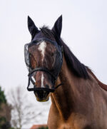 EQUITHÈME halter + anti-fly mask protection against UV rays - Image 2