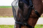 EQUITHÈME halter + anti-fly mask protection against UV rays - Image 3