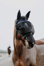 EQUITHÈME halter + anti-fly mask - Image 2