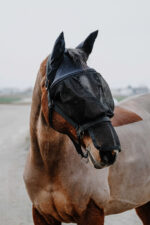 EQUITHÈME halter + anti-fly mask - Image 3