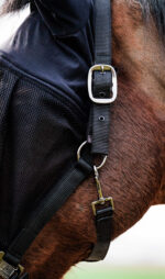 EQUITHÈME halter + anti-fly mask - Image 5