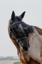 EQUITHÈME halter + anti-fly mask - Image 10
