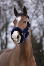 EQUITHÈME Halter - Teddy Rose Gold - Image 3
