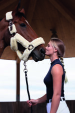 EQUITHÈME “Teddy” halter - Image 3