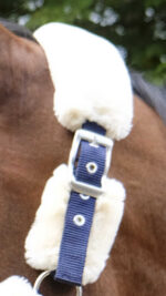 EQUITHÈME “Teddy” halter - Image 9