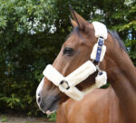 EQUITHÈME “Teddy” halter - Image 11