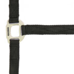 EQUITHÈME Halter - Nylon - Image 2