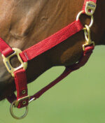 EQUITHÈME Halter - Nylon - Image 5