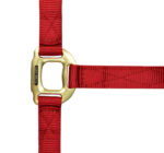 EQUITHÈME Halter - Nylon - Image 7