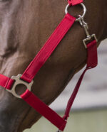 RIDING WORLD Halter + Rope - Club - Image 8