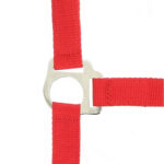 RIDING WORLD Halter + Rope - Club - Image 9