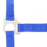 RIDING WORLD Halter + Rope - Club - Image 11