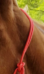 RIDING WORLD Ethological Halter Rope - Fine - Image 4