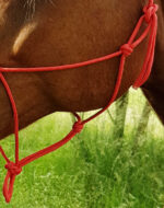 RIDING WORLD Ethological Halter Rope - Fine - Image 5
