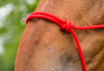 NORTON Rope Halter - First - Image 4