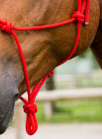 NORTON Rope Halter - First - Image 6